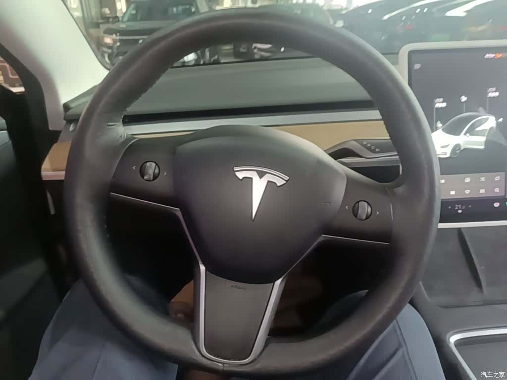Tesla Model 3, 2021 4