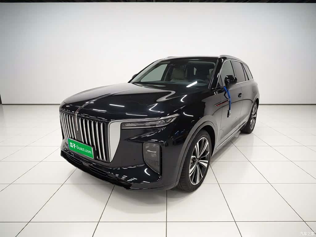 Hongqi E-HS9, 2023 1