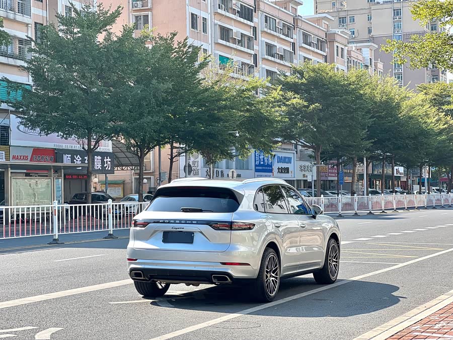 Porsche Cayenne 2019, фото 12