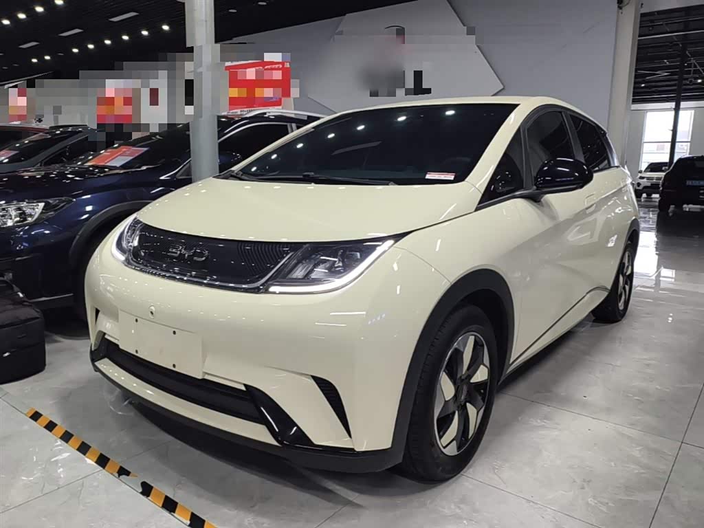 BYD Dolphin