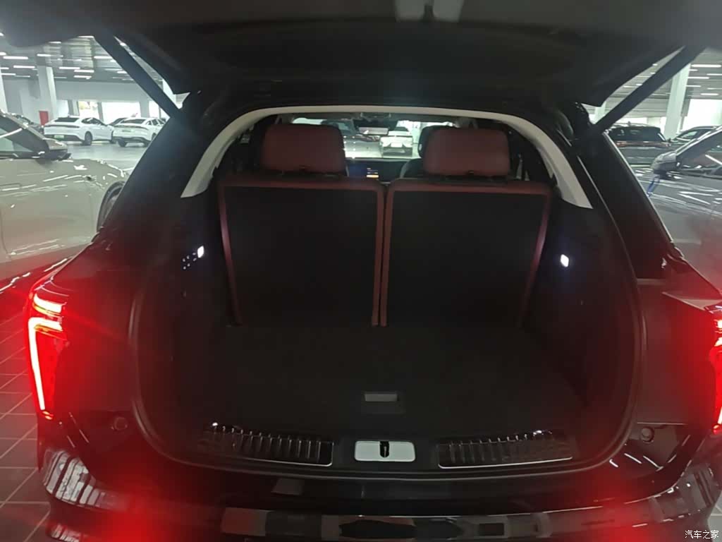 Hongqi E-HS9, 2023 15