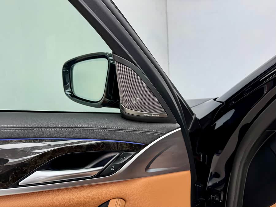 BMW 5 Series 2020, фото 9