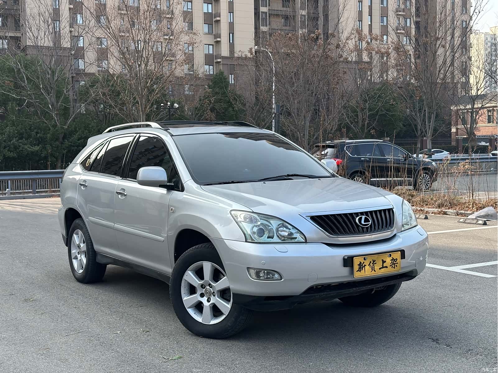 Lexus RX, 2008 3