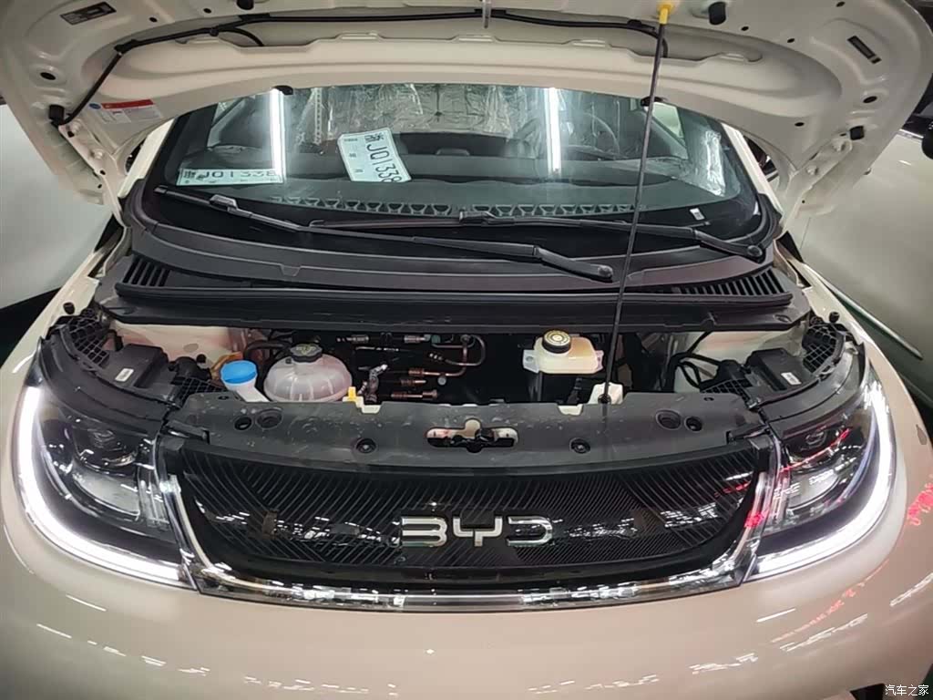 BYD Dolphin, 2026 20