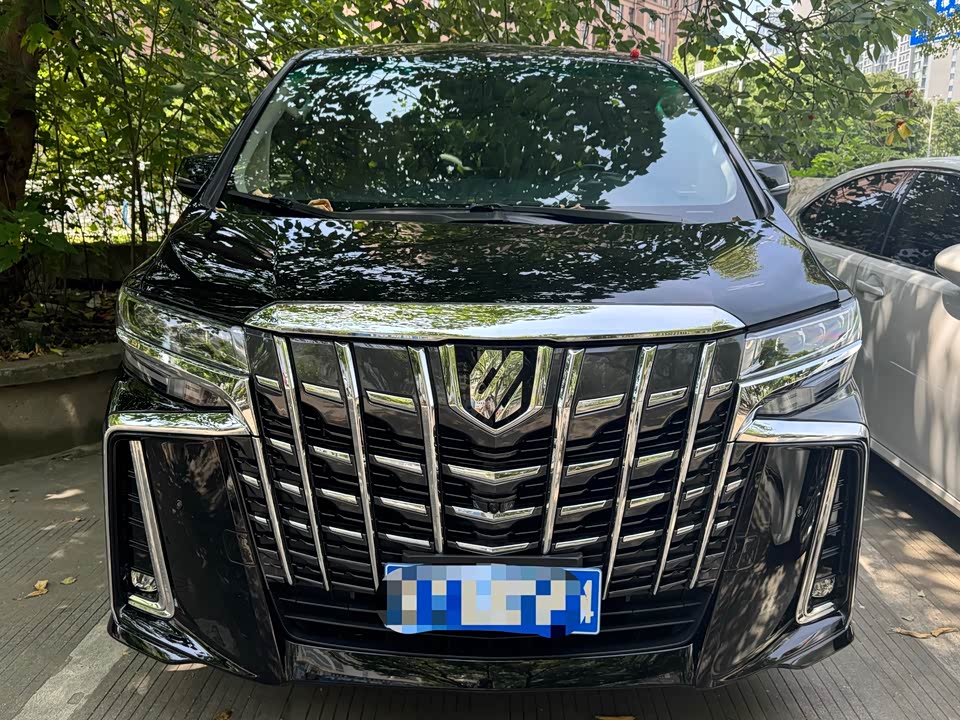 Toyota Elfa