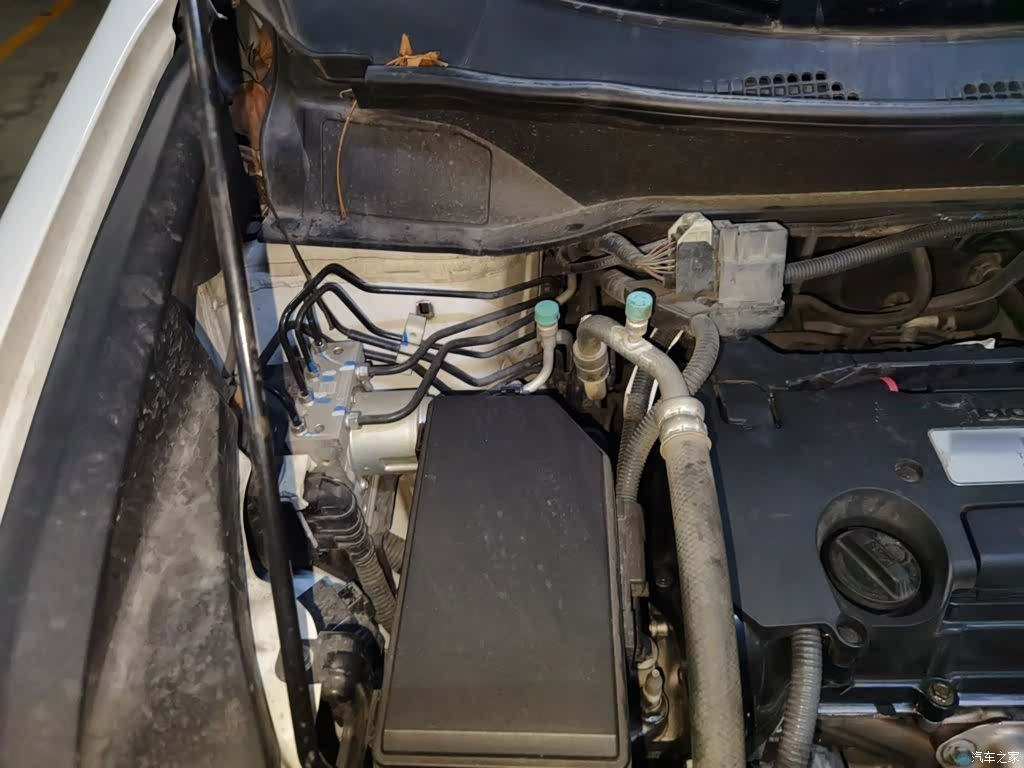 Honda Elysion, 2019 21