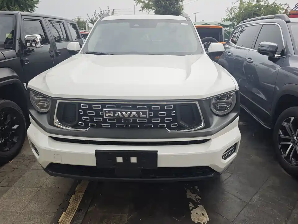 Haval Second-generation big dog Haval Second-generation big dog