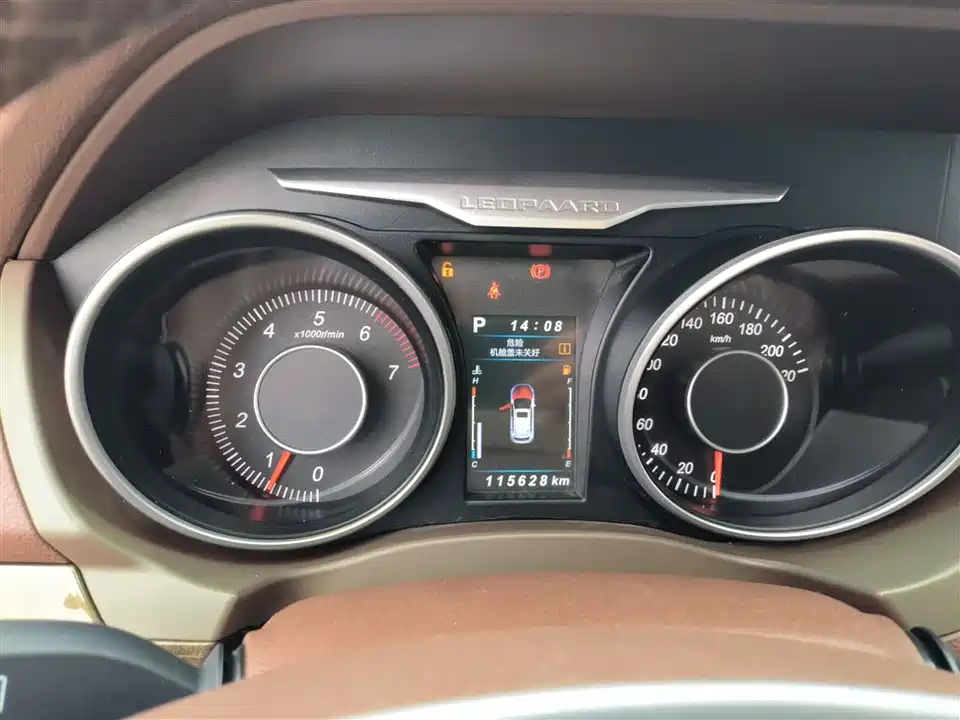 Leopaard Cheetah CS10