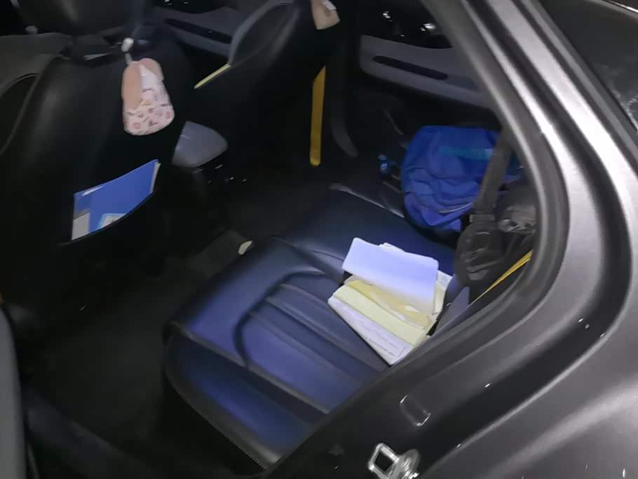 Trumpchi Shadow Leopard