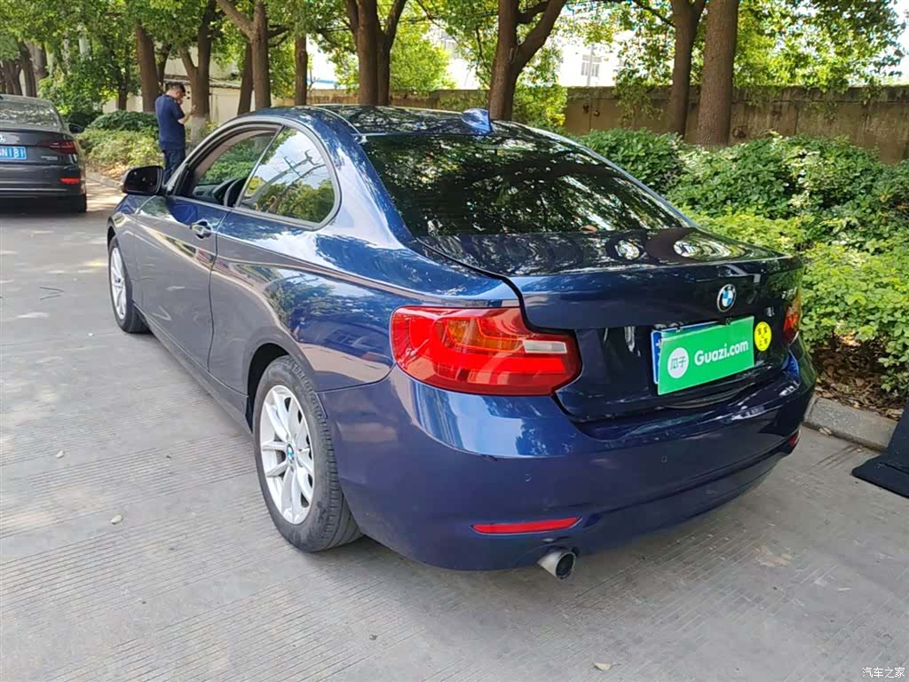 BMW 2 Series, 2016 все фото