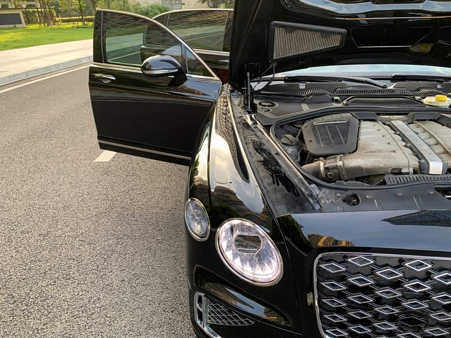 Bentley Fich 2010, фото 18