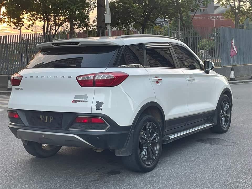 Leopaard Cheetah CS9