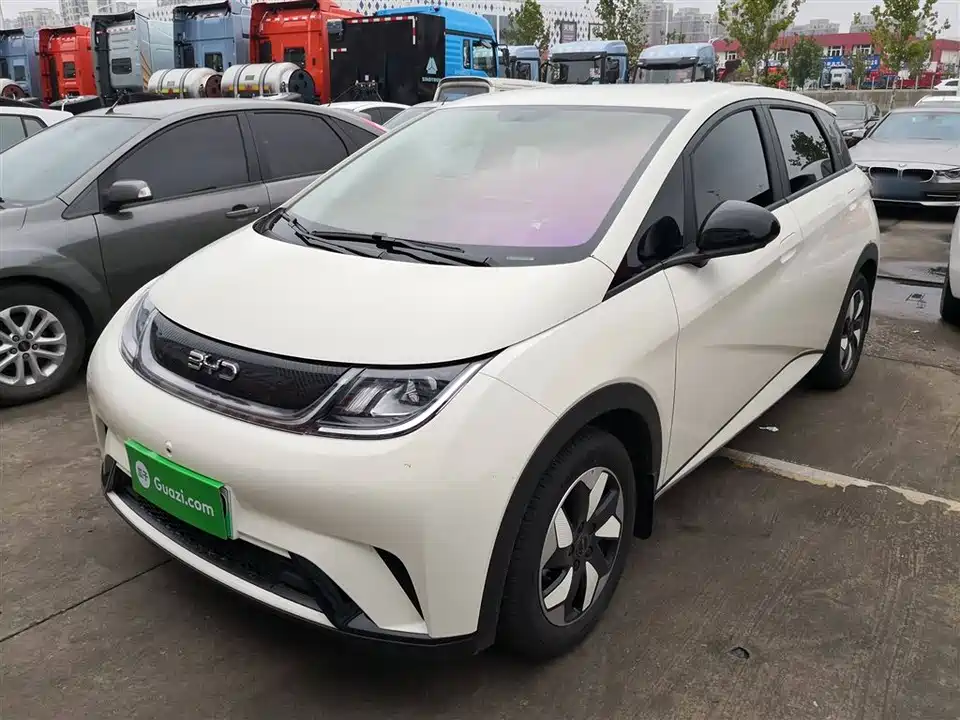 BYD dolphin