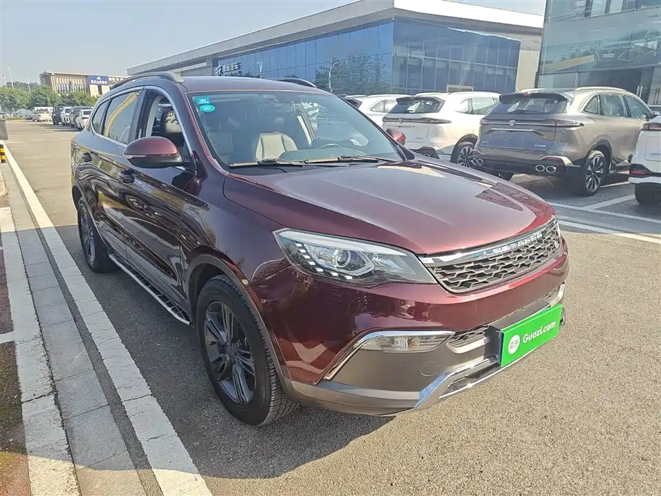 Leopaard Cheetah CS10