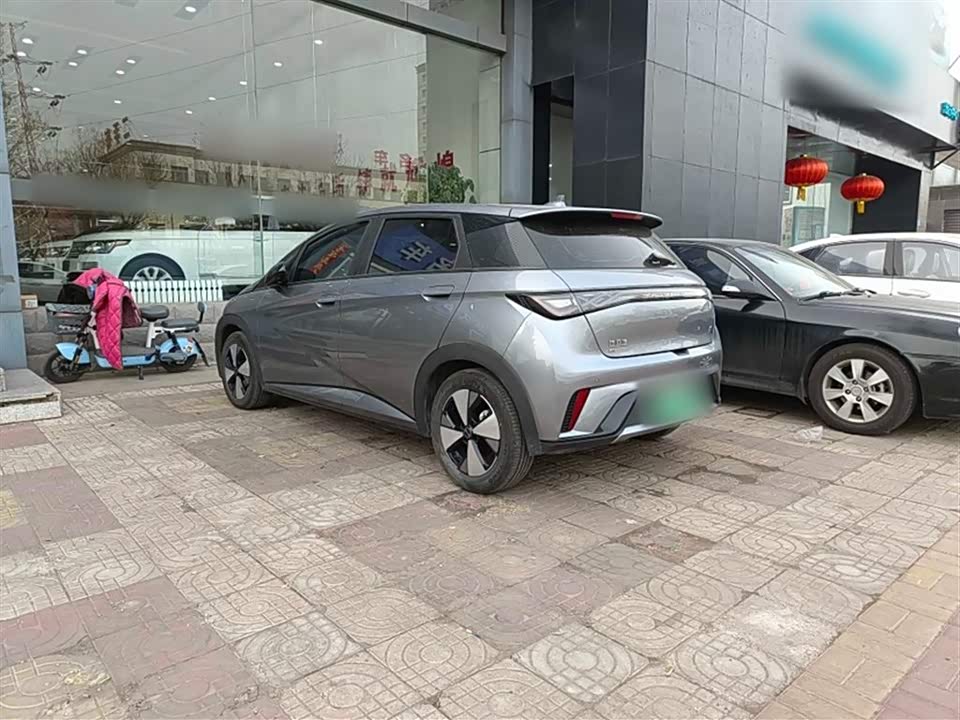 BYD dolphin