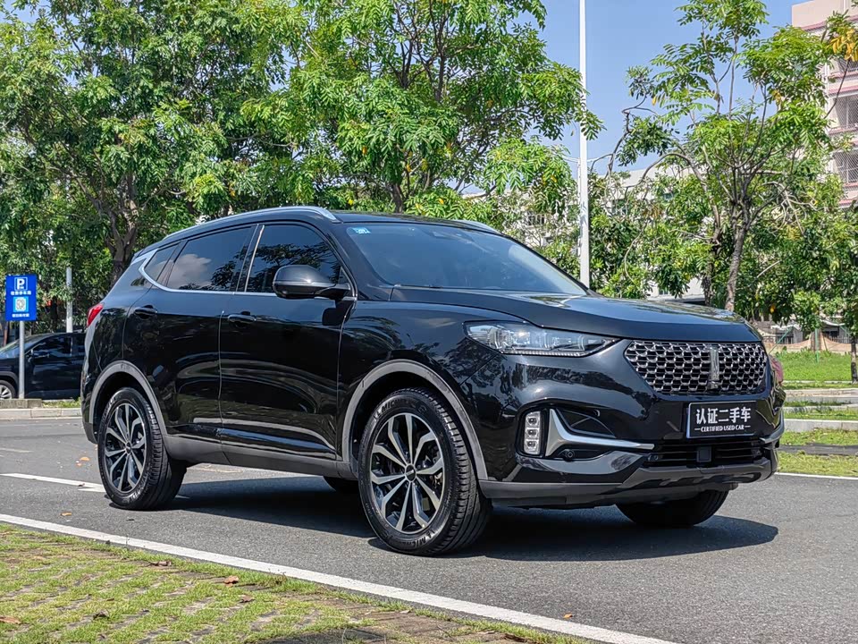 Weipai VV6