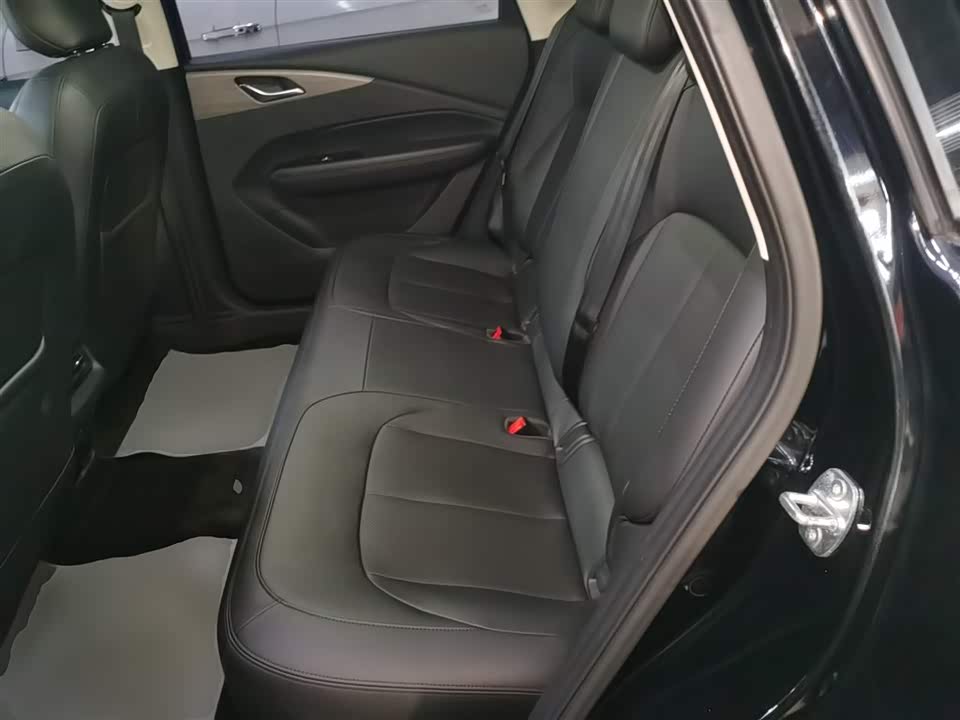 Wuling Wuling Starlight