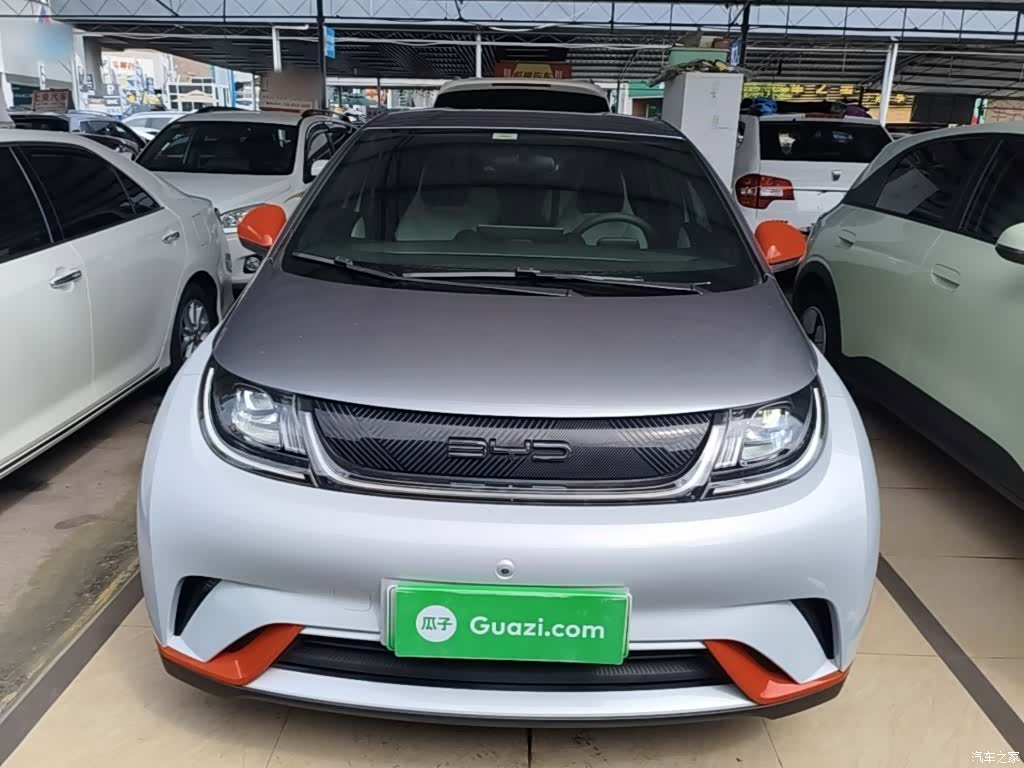 BYD Dolphin, 2021 3