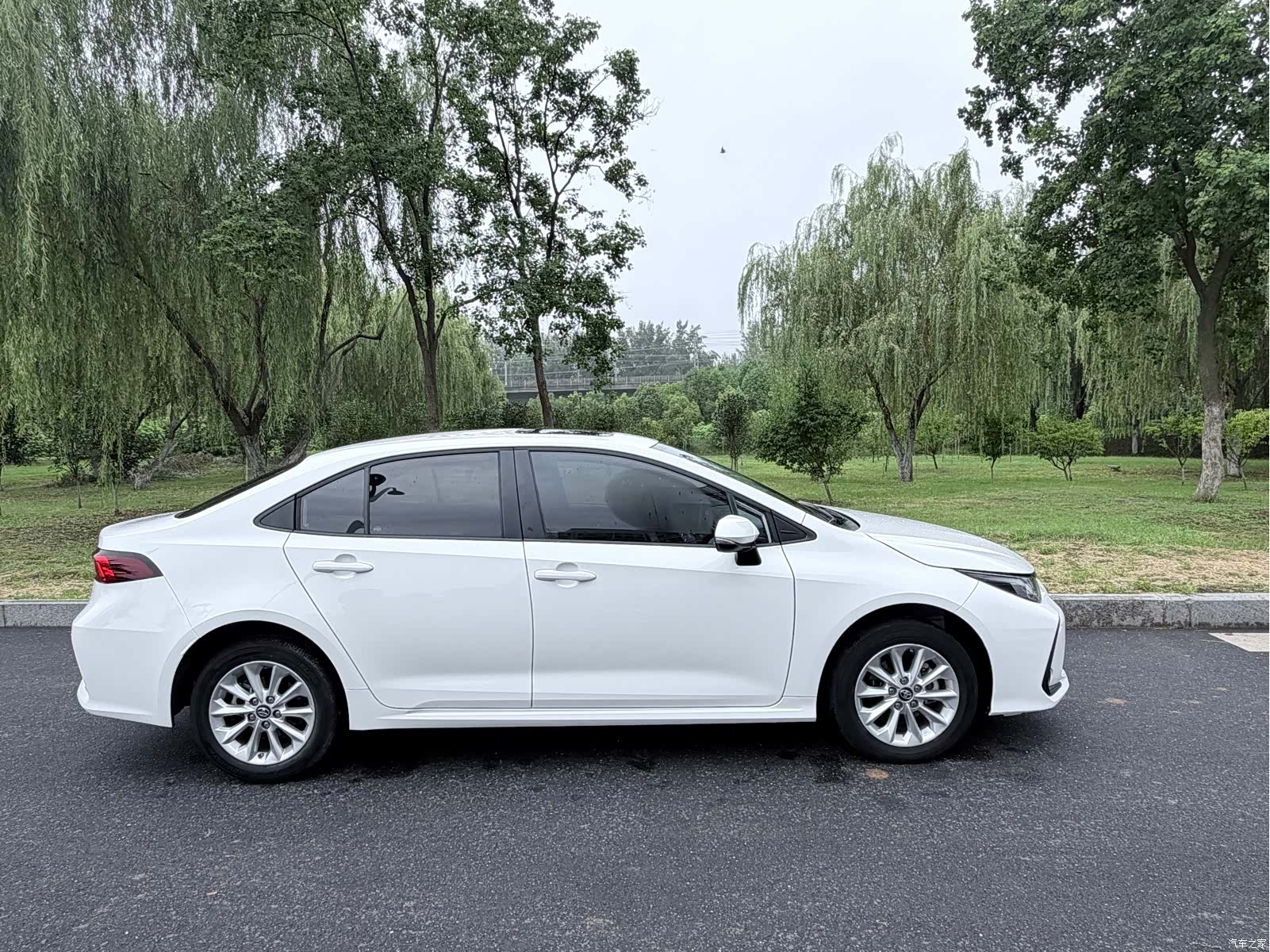 Toyota Corolla, 2022 все фото