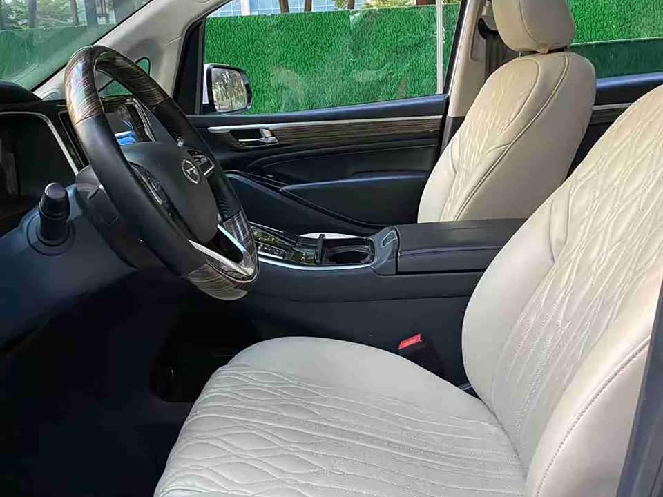 Trumpchi Trumpchi M8