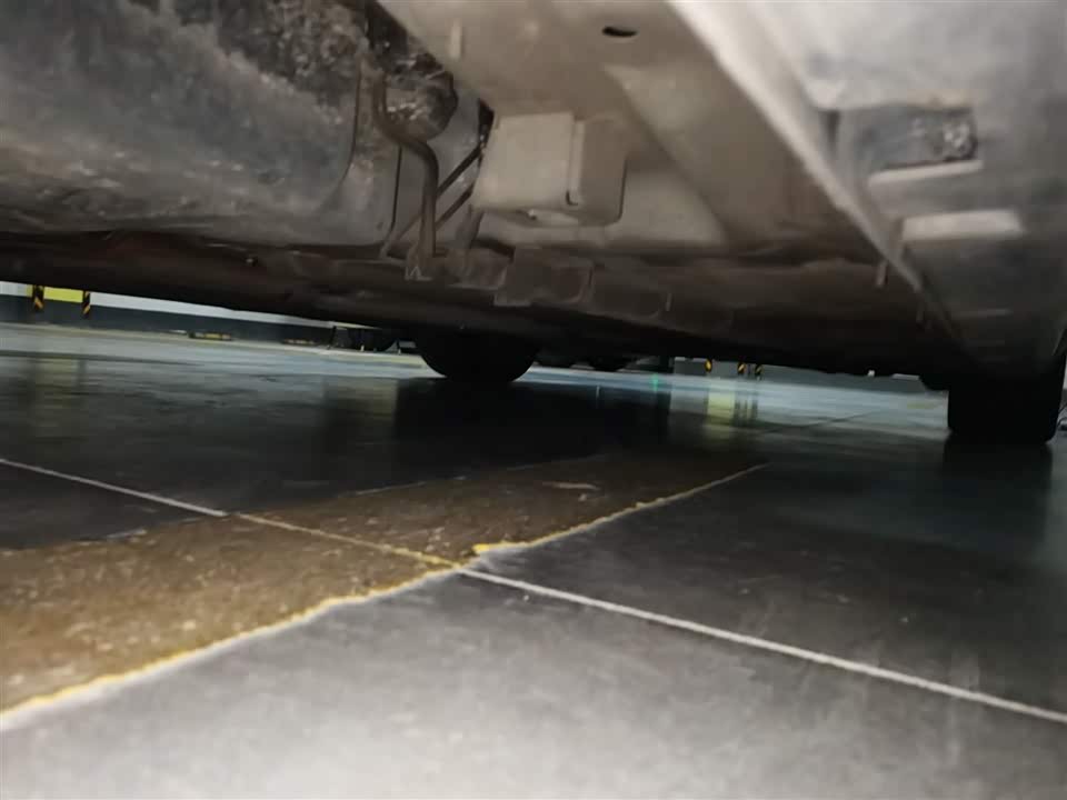 Trumpchi Shadow Leopard