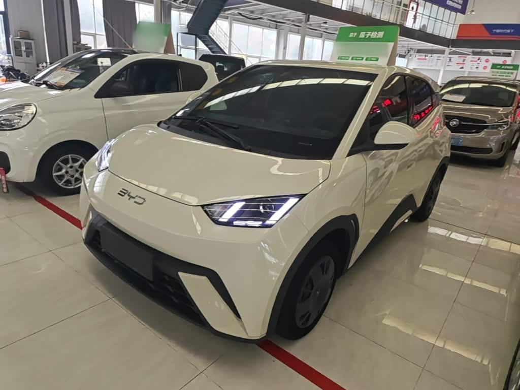 BYD Seagull