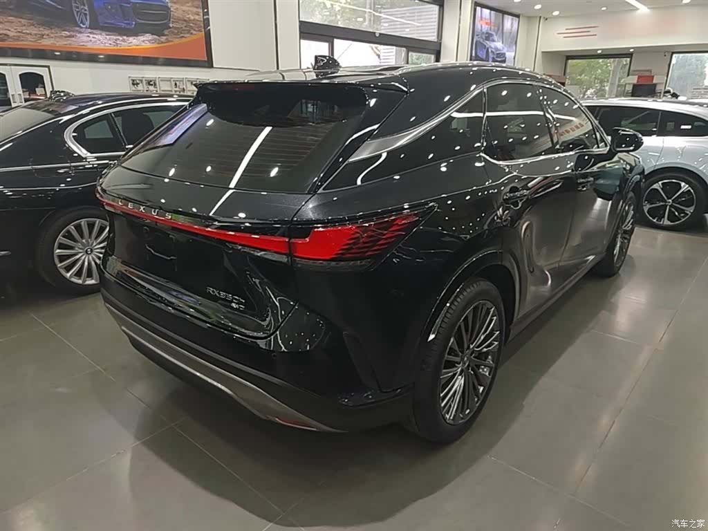 Lexus RX, 2023 7