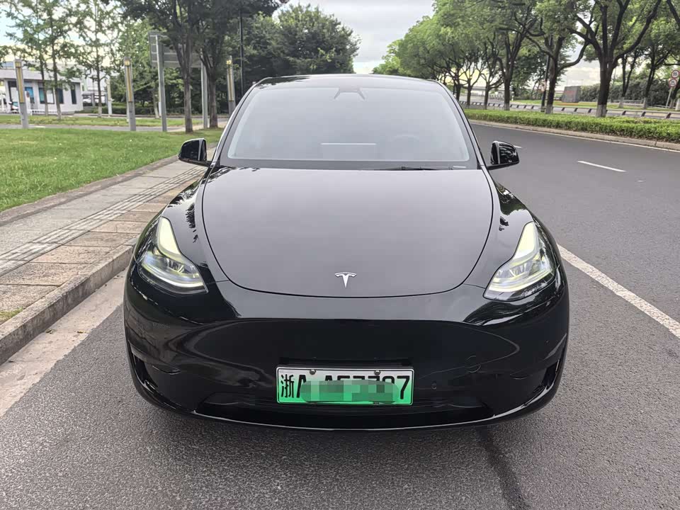 Tesla Model Y Tesla Model Y