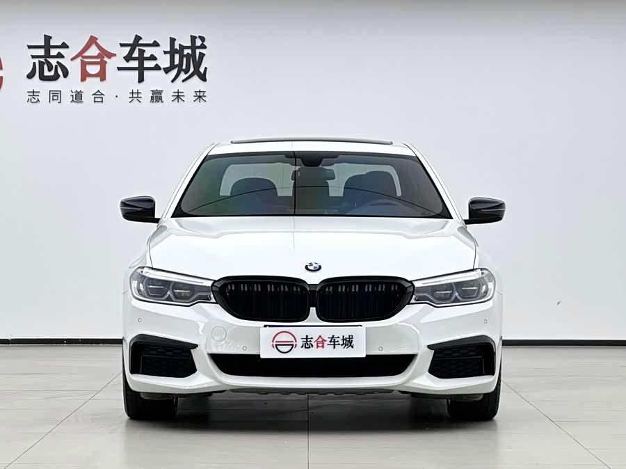 BMW 5 Series 2020, фото 2