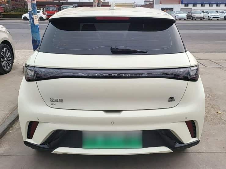 BYD dolphin