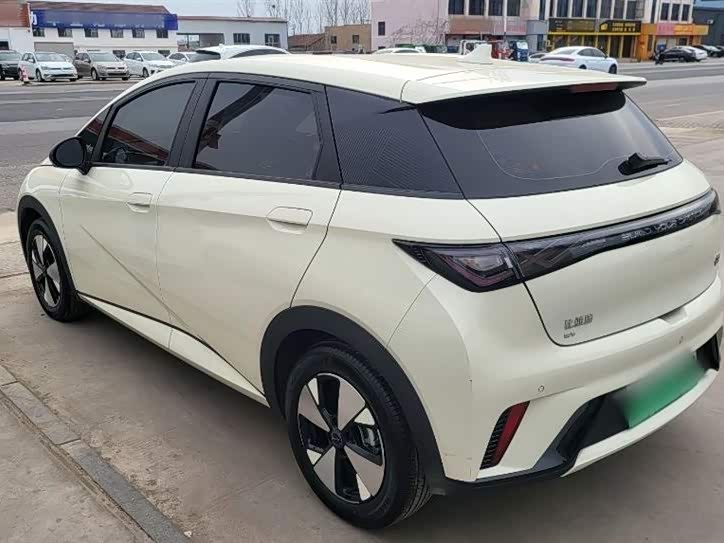 BYD dolphin