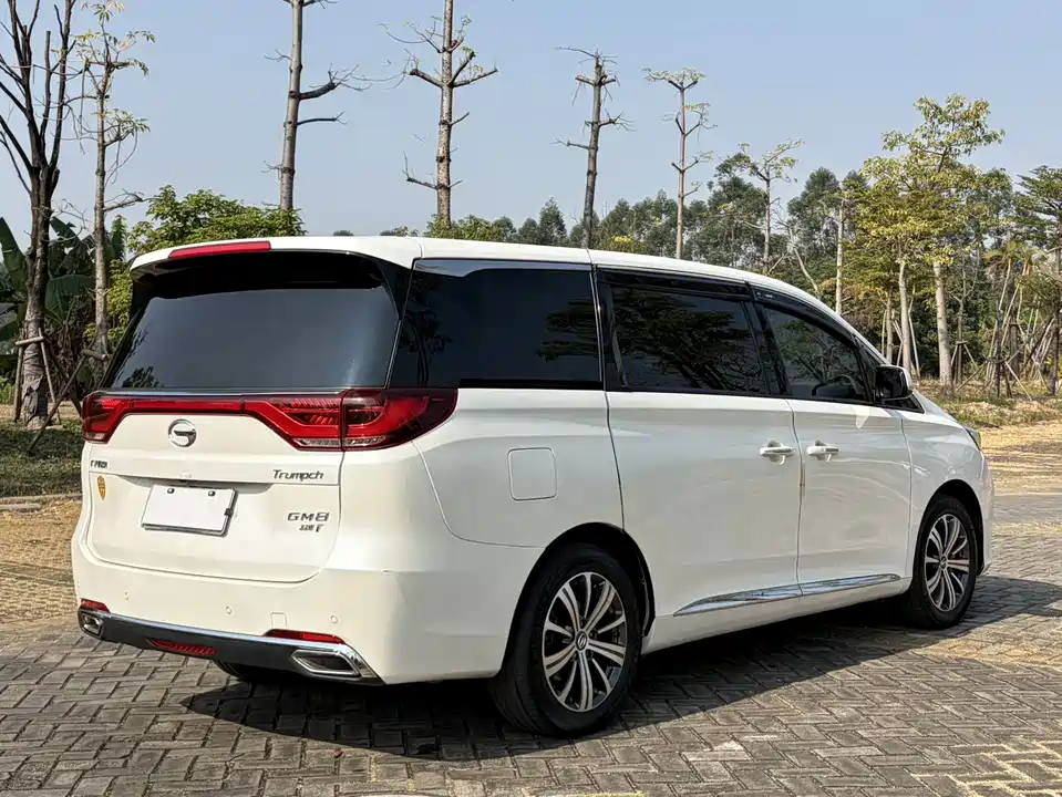 Trumpchi Trumpchi M8