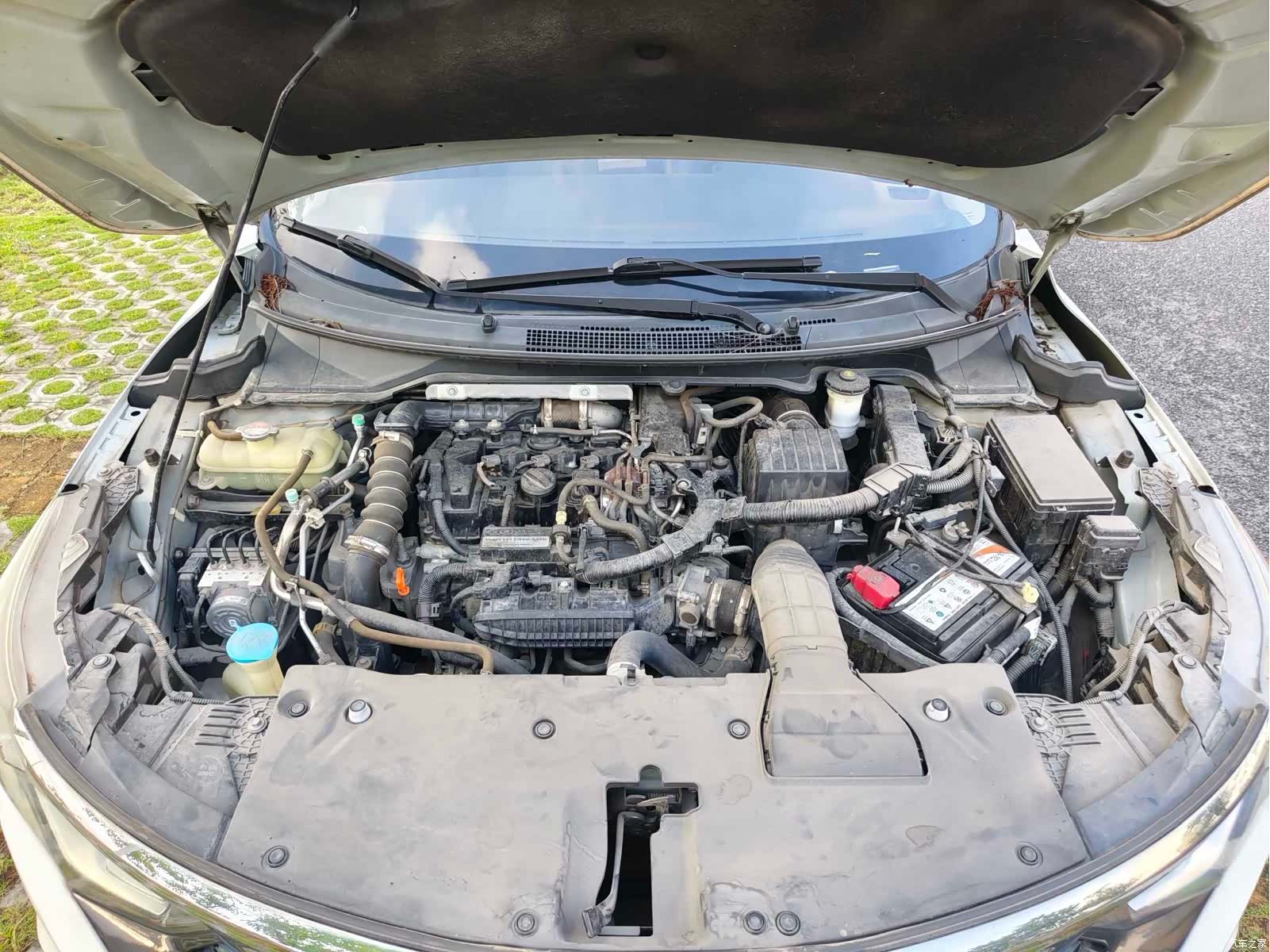 Honda Crider, 2019 19