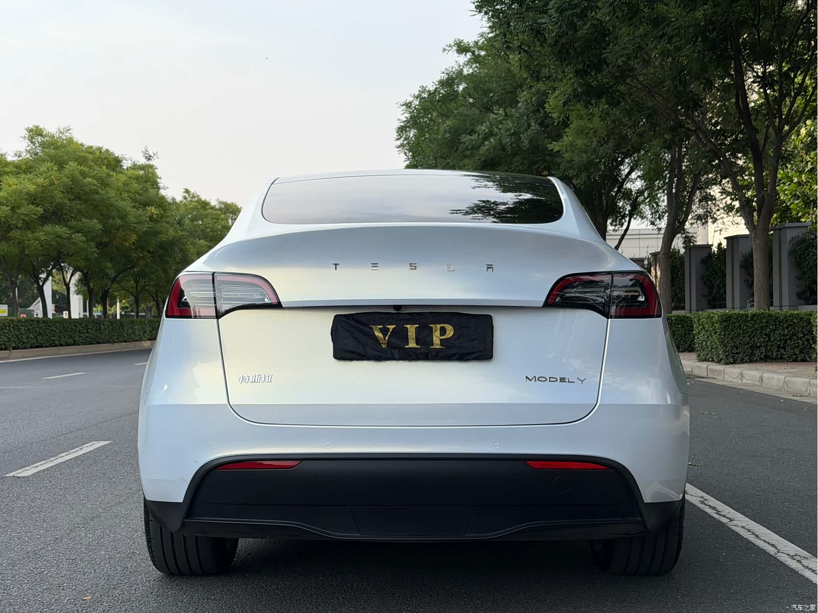 Tesla Model Y, 2023 все фото