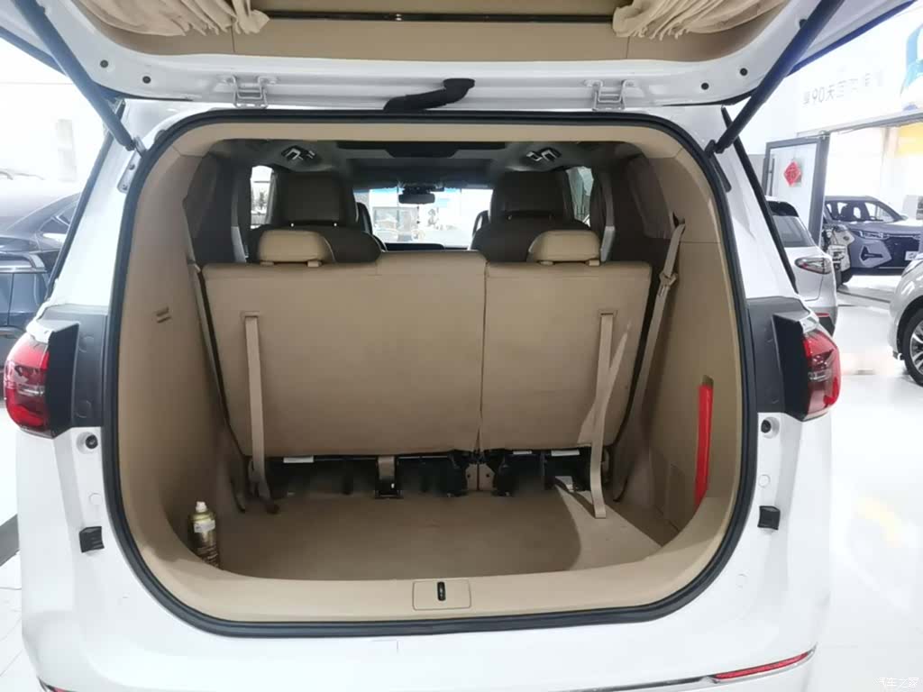Buick GL8, 2021 19