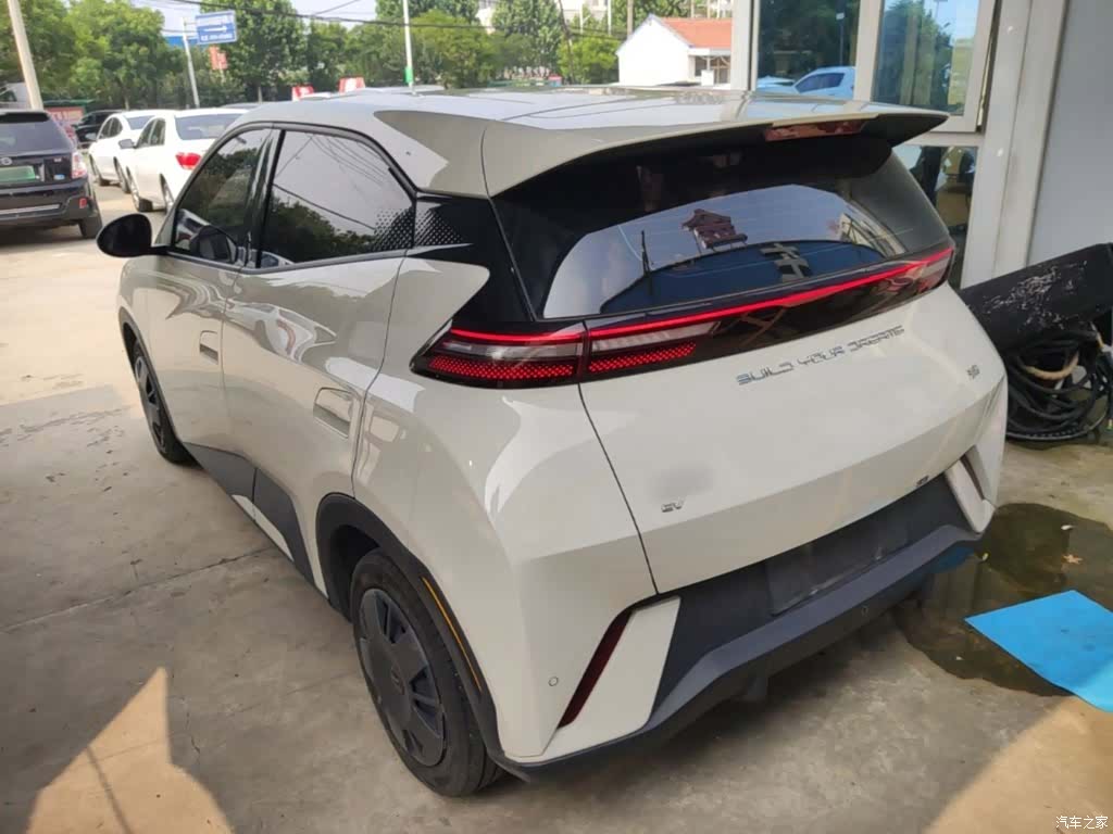 BYD Seagull, 2024 все фото