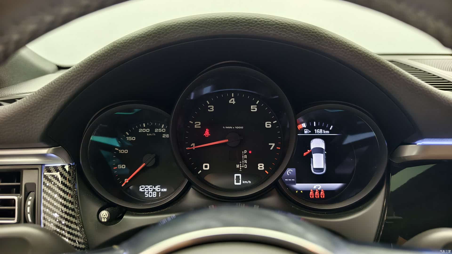 Macan Macan, 2019 12