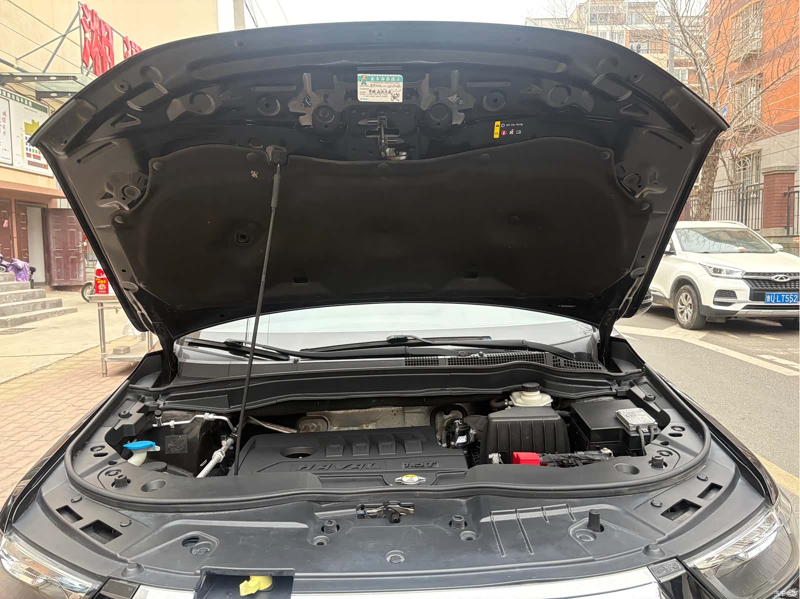 Haval H6, 2019 все фото