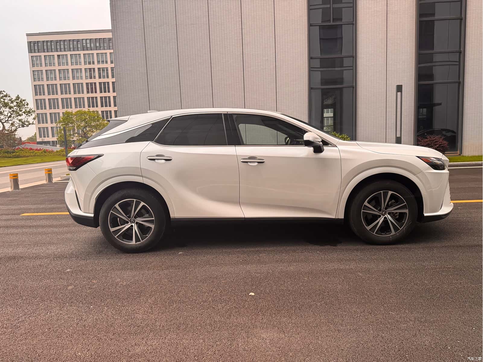 Lexus RX, 2025 3