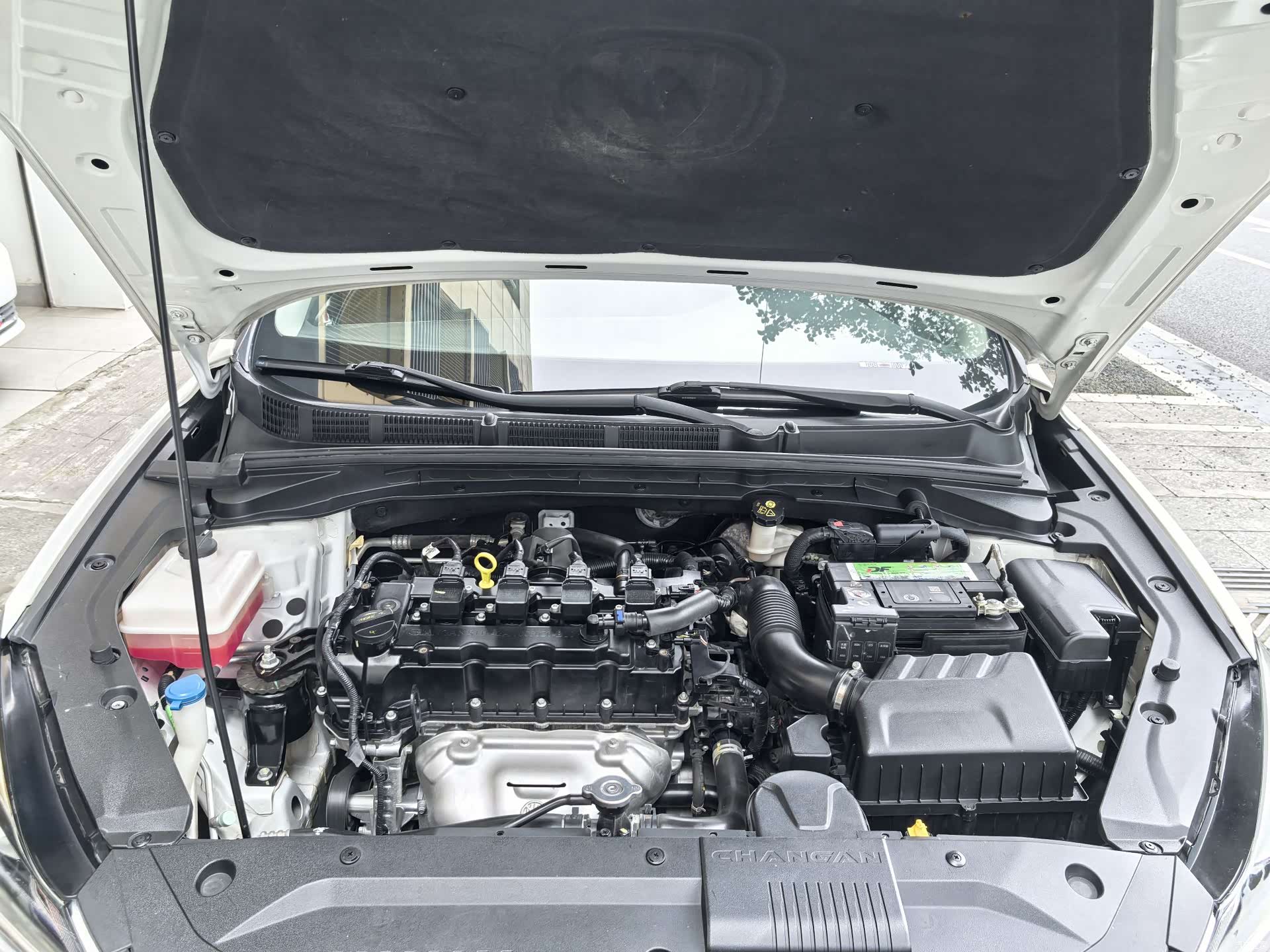 Changan Eado, 2020 19