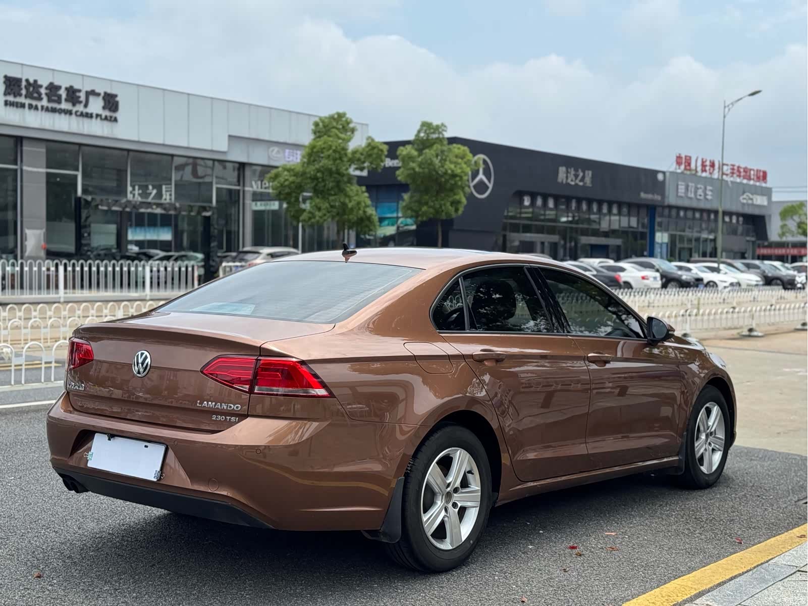 Volkswagen Lamando, 2018 6