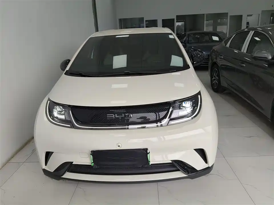 BYD dolphin