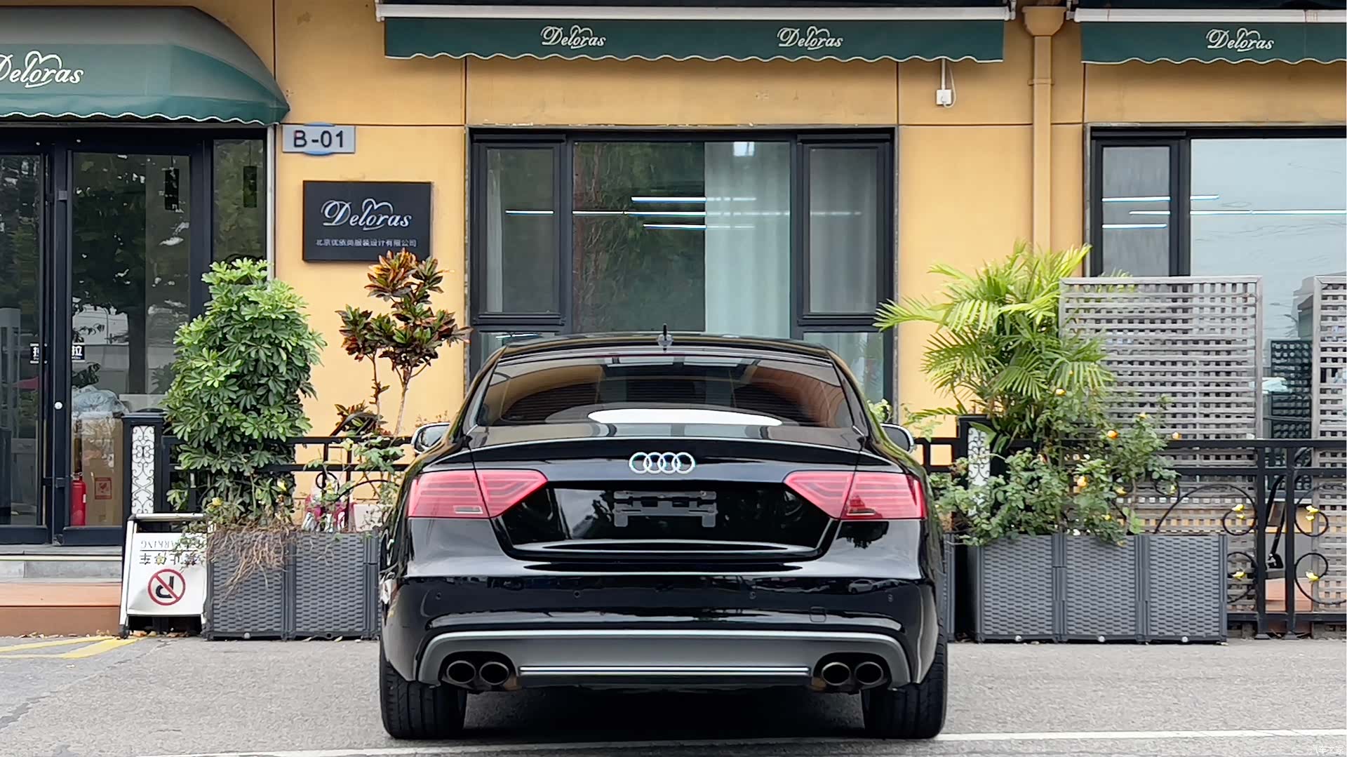 Audi S5, 2012 все фото