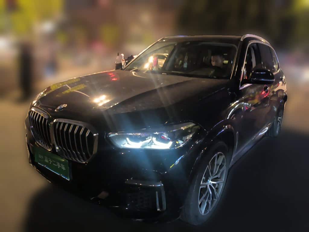 BMW X5 2022 xDrive 30Li M Sport