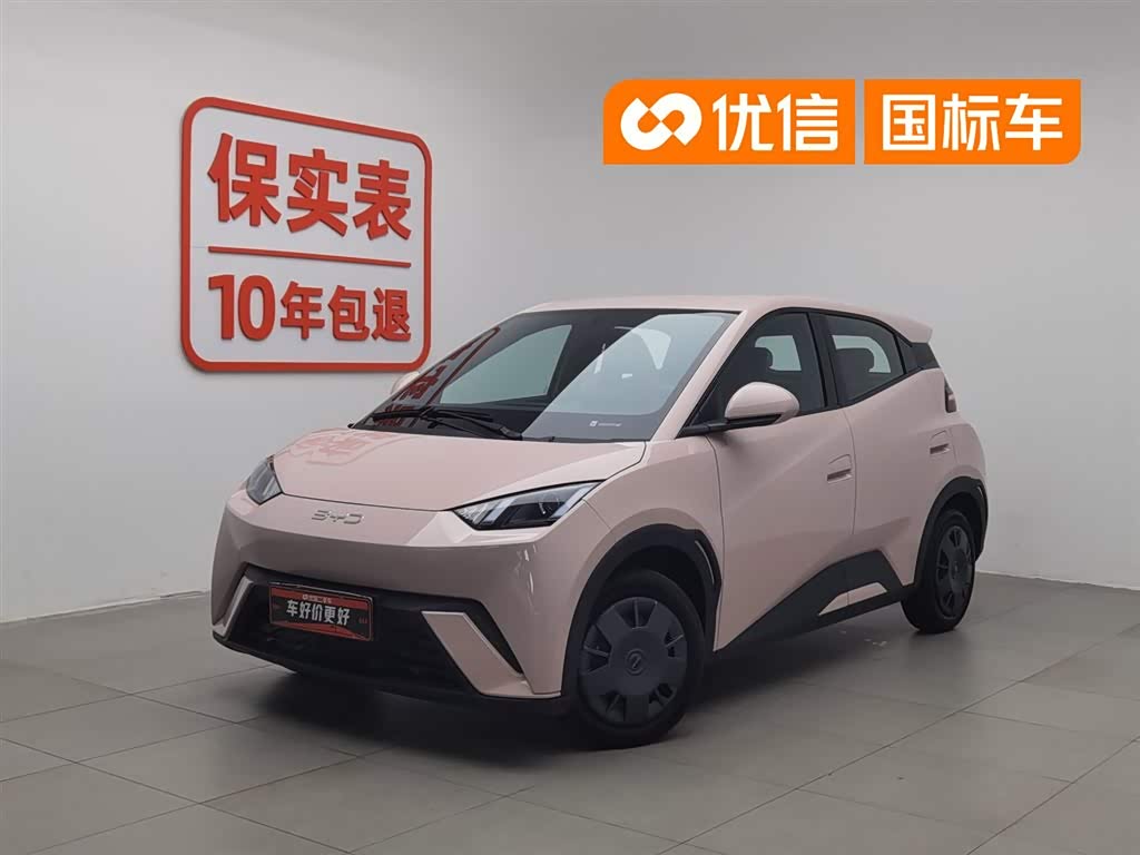 BYD Seagull