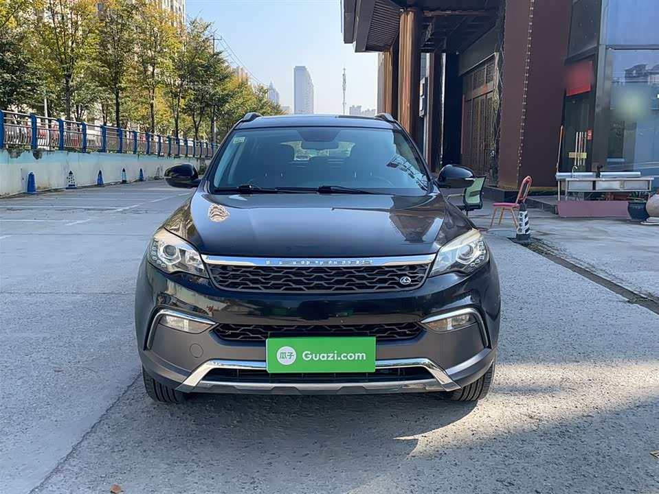 Leopaard Cheetah CS10