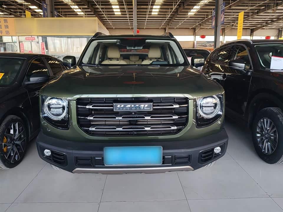 Haval Big dog