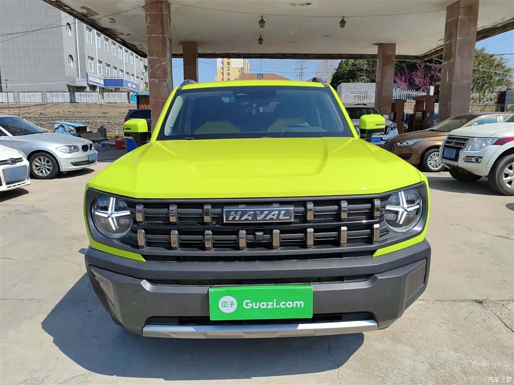 Haval Cool Dog, 2023 3