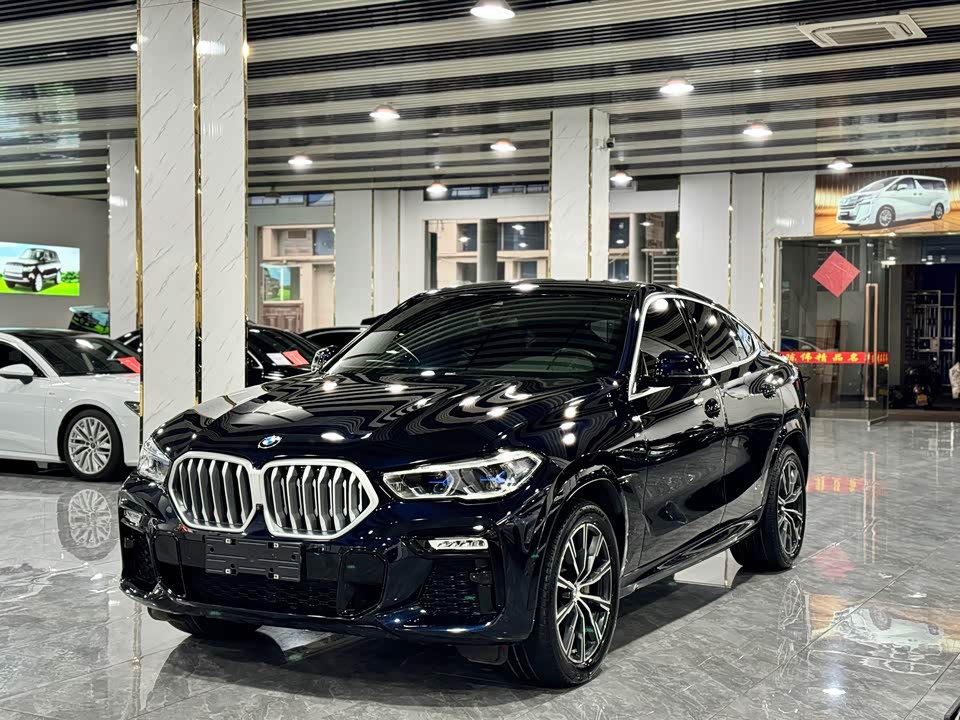 BMW X6