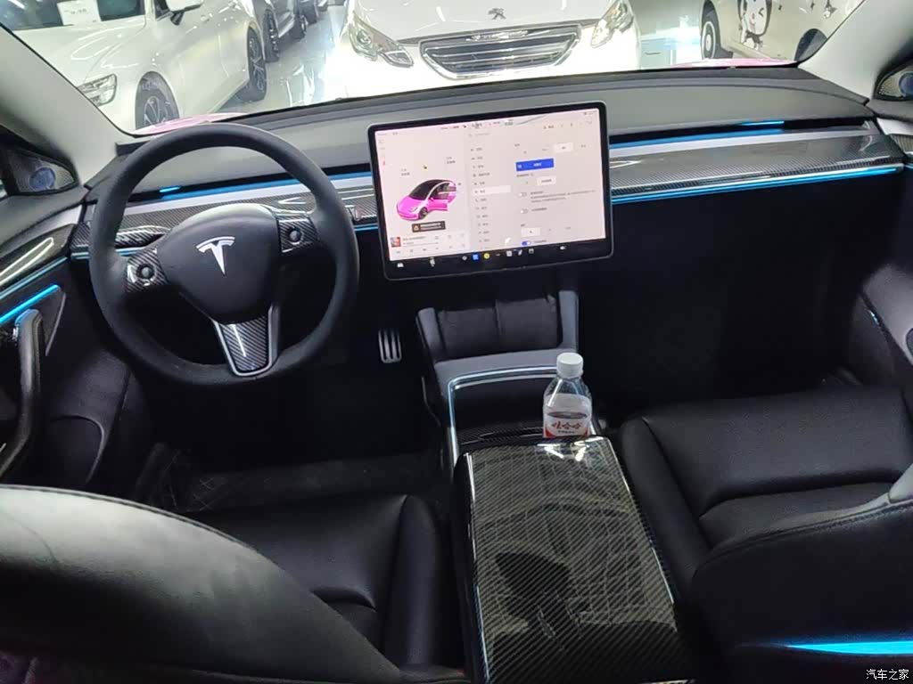 Tesla Model 3, 2021 10